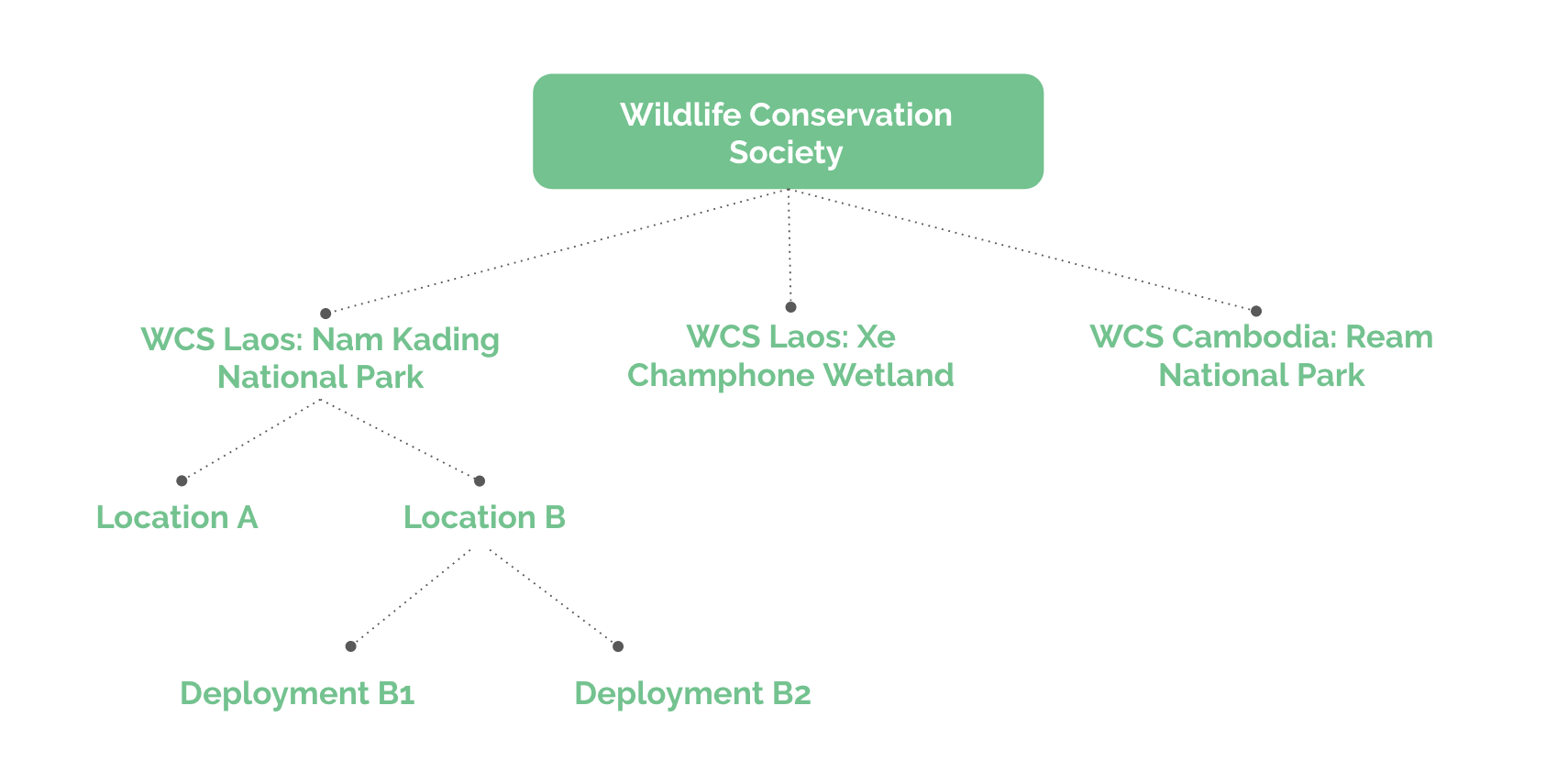 Quick Start to Wildlife Insights | Wildlife Insights